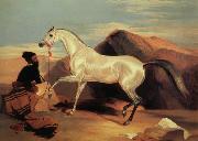 Sir Edwin Landseer Arab stable ion oil painting reproduction